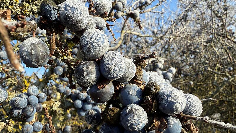 Leserbilder 2025Leserfotos Dezember 2025