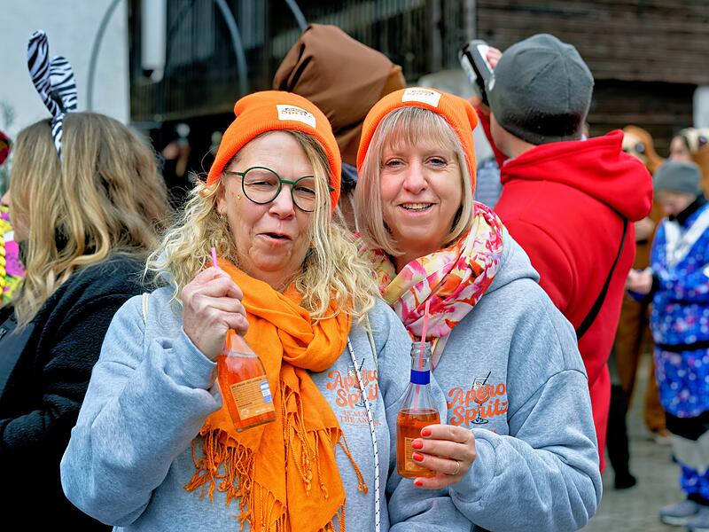 Alle Fotos vom Faschingszug in Oberhaid 2026