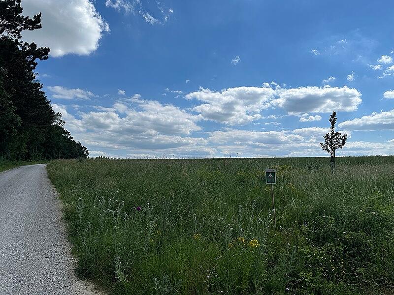 Südlich des Flugplatzes Burg Feuerstein soll der neue Windpark entstehen.Forchheim & Fränkische Schweiz Südlich des Flugplatzes Burg Feuerstein soll der neue Windpark entstehen.