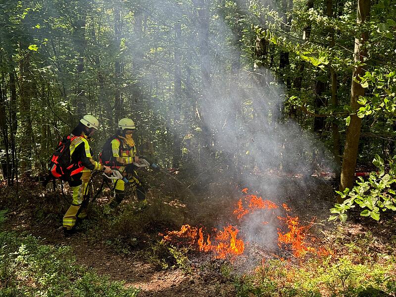 Waldbrandübung Kirchehrenbach 2024Waldbrandübung Kirchehrenbach 2024 Waldbrandübung Kirchehrenbach 2024
