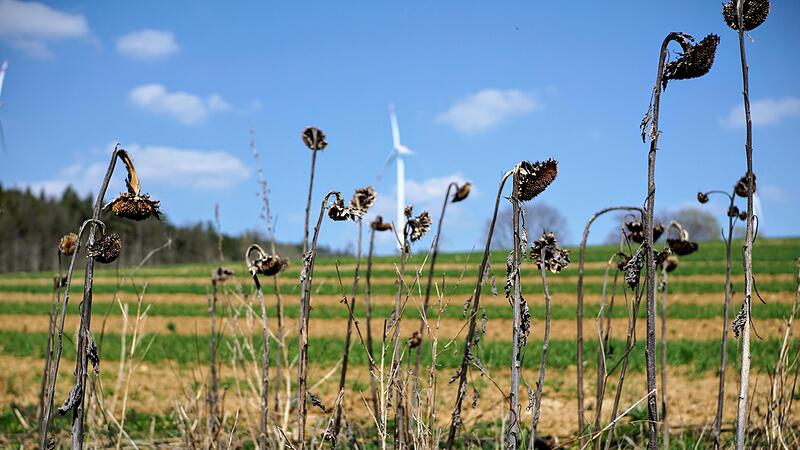 Wie hier auf dem  Hainberg stehen im Landkreis Kronach insgesamt 14 Windräder, von denen elf in Betrieb sind.