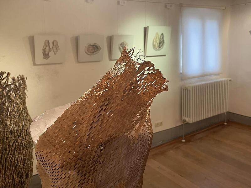 Verschiedenste Werke sind in der Ausstellung des Kunstvereins zu sehen.