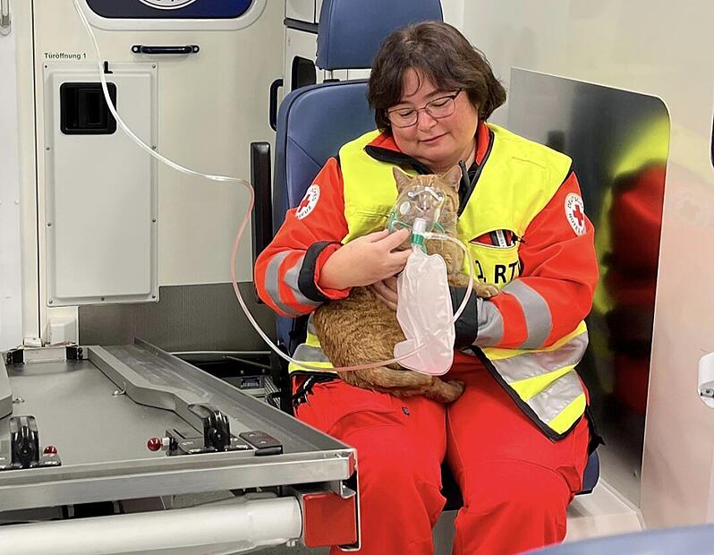 im Rettungswagen bekam die Katze gleich Sauerstoff