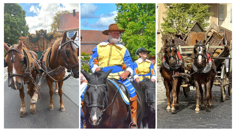 Die Pferde der Aurach Ranch (links), die beiden vom Sonnenhof (mitte) und die Ponys des Alth&auml;user Wagens sind besondere Mitspieler beim Heimatspiel.