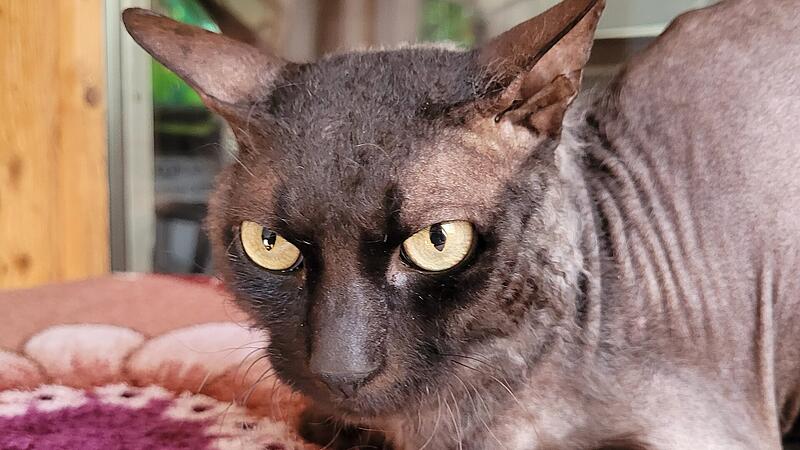 Tierbild der Woche Tierbild der Woche