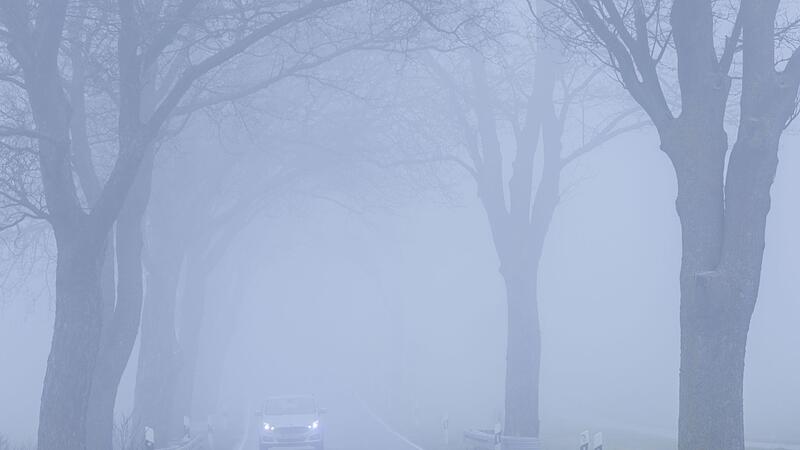 Nebelwetter Nebelwetter