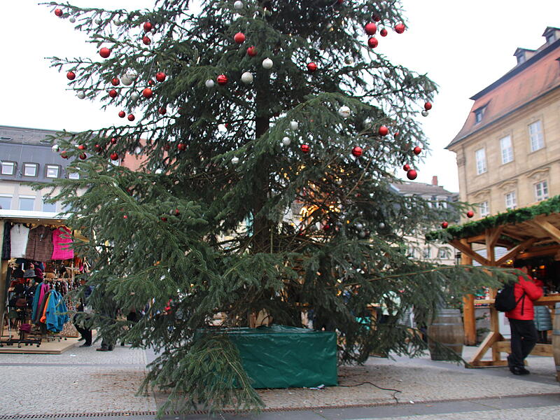 Ist sie schön genug? Bamberger diskutieren über den Weihnachtsbaum.