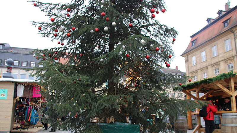 Ist sie sch&ouml;n genug? Bamberger diskutieren &uuml;ber den Weihnachtsbaum.