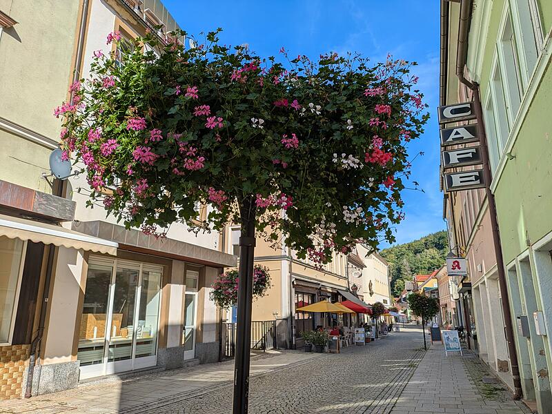 Die Zukunft der Blumenampeln in Bad Brückenau war Teil der Debatte um mehr Bäume.
