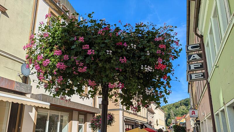 Die Zukunft der Blumenampeln in Bad Br&uuml;ckenau war Teil der Debatte um mehr B&auml;ume.