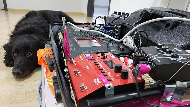 Auch Lisa, Markus Zinks Hundedame, hört Electrosound, wenn Herrchen seinen Musikkoffer öffnet und groovt.