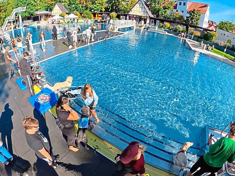 Kaiserwetter beim zweiten Hundebadetag im Atlantis. Kaiserwetter beim zweiten Hundebadetag im Atlantis.