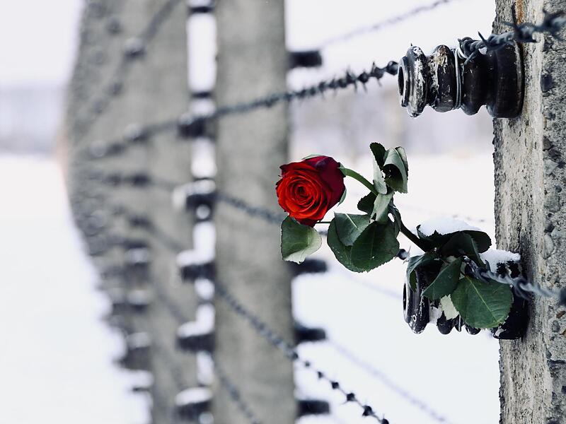 Der Name Auschwitz-Birkenau steht f&uuml;r das unvorstellbare Grauen und die Massenmorde, die das Naziregime &uuml;ber Menschen gebracht hat. Die Ausstellung mit Begleitprogramm erm&ouml;glicht ver&auml;ndernde Perspektiven f&uuml;r die Zukunft.