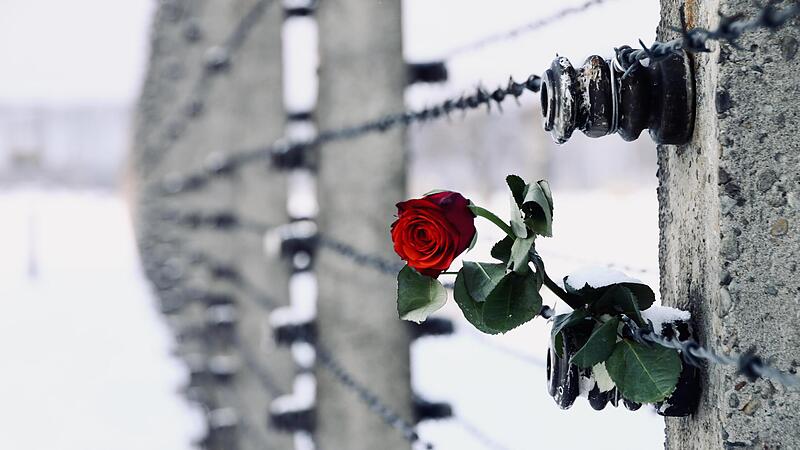 Der Name Auschwitz-Birkenau steht f&uuml;r das unvorstellbare Grauen und die Massenmorde, die das Naziregime &uuml;ber Menschen gebracht hat. Die Ausstellung mit Begleitprogramm erm&ouml;glicht ver&auml;ndernde Perspektiven f&uuml;r die Zukunft.