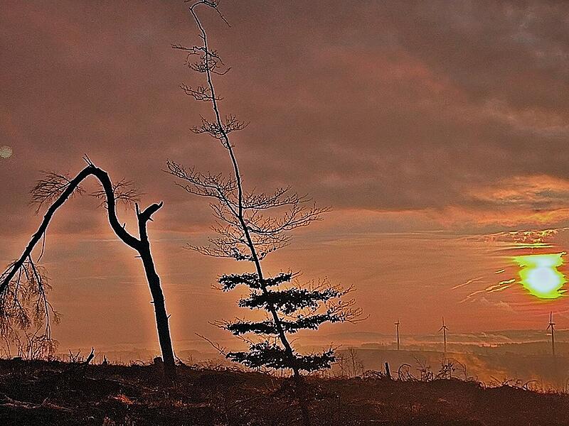 Leserbilder: Wenn der Himmel &uuml;ber Kronach bunt wirdLeserbilder: Wenn der Himmel &uuml;ber Kronach bunt wird