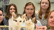 Tierpflegerin Nina (rechts) mit den beiden Katzen-Waisen, um deren Überleben sie kämpft, und den Studierenden Yurena, Charlotte, Katharina und Helen.