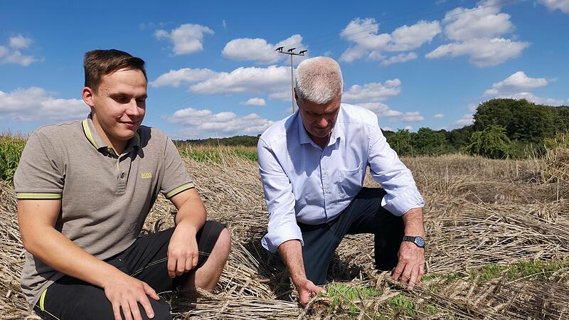 Michael Leistner und Kreisbauer Hermann Greif begutachten zusammen den ausgewachsenen Roggen.Forchheim & Fr&auml;nkische Schweiz