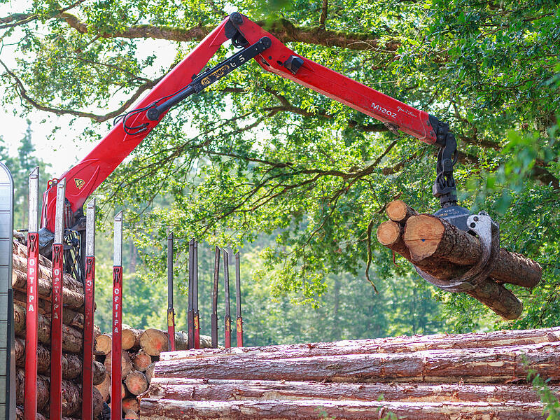 Holzheizen Landkreis ForchheimForchheim & Fränkische Schweiz Knapp 500.000 Festmeter holz vermarkten die oberfränkischen Waldbesitzer jährlich. Theoretisch wäre sogar noch viel mehr da.