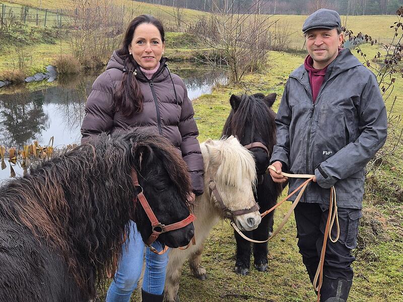 Krebse und Ponys BayerkuhnleinKrebse und Ponys Bayerkuhnlein