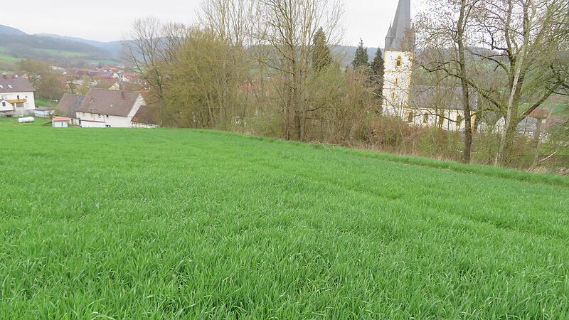 Leichte Hanglage, N&auml;he Kirche und Friedhof: Hier soll in Uetzing das neue Baugebiet &bdquo;Kapellenberg&ldquo; entstehen.