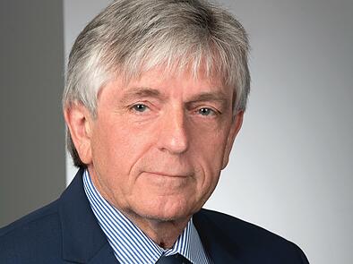 Theo Taubmann, AfD
