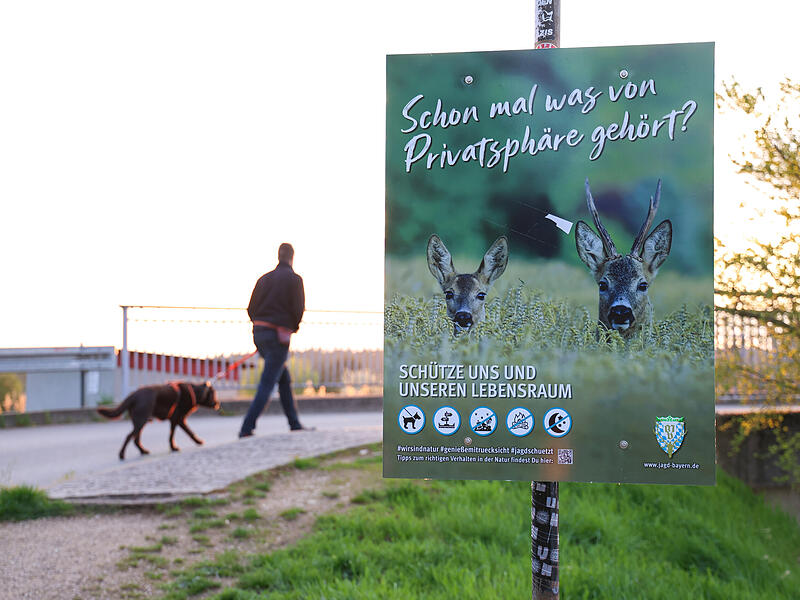 Im Vogelschutzgebiet bei Baiersdorf m&uuml;ssen Hunde w&auml;hrend der Brutzeit an die Leine genommen werden.