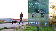 Im Vogelschutzgebiet bei Baiersdorf m&uuml;ssen Hunde w&auml;hrend der Brutzeit an die Leine genommen werden.