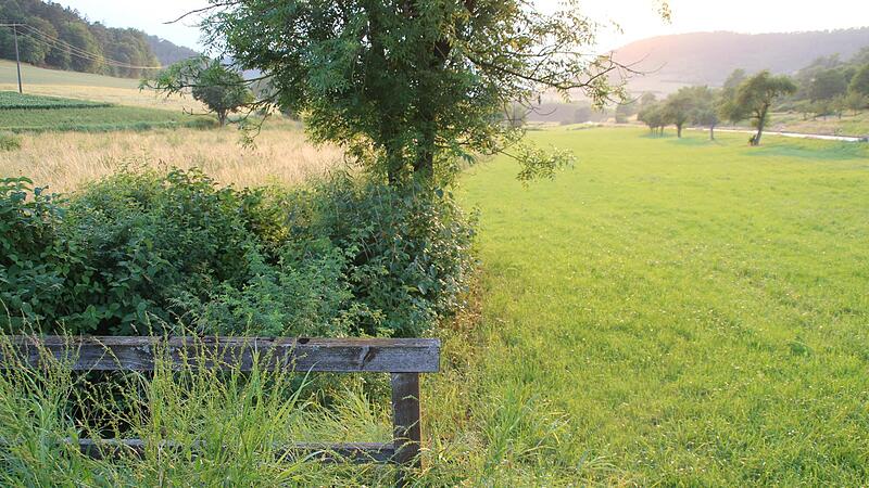 Hier wird das neue Regenr&uuml;ckhaltebecken an der Einm&uuml;ndung zur &bdquo;Alten Ramsthaler Stra&szlig;e&ldquo; gebaut. Dabei wird auch der Bach ein St&uuml;ck verlegt. Los gehen die Bauarbeiten schon diesen Monat.