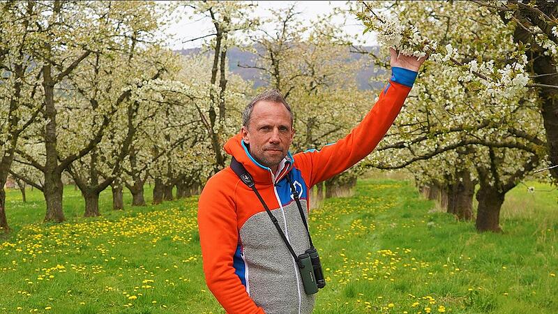 Umweltminister GlauberForchheim & Fränkische Schweiz Bis Umweltminister Thorsten Glauber seine Arme so hoch strecken kann, dauert sicherlich noch: Am Wochenende stürzte der Pinzberger auf der BR-Radltour und verletzte sich.