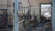 Nach Brand in Schweinezucht Nach Brand in Schweinezucht
