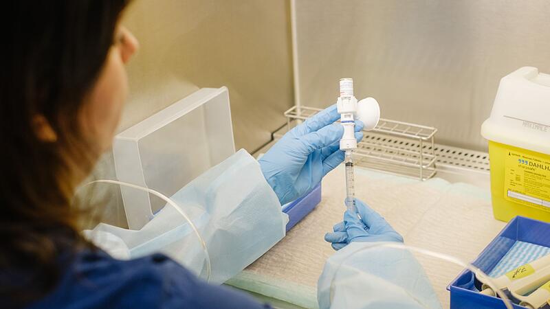 Chemotherapie beim Hund