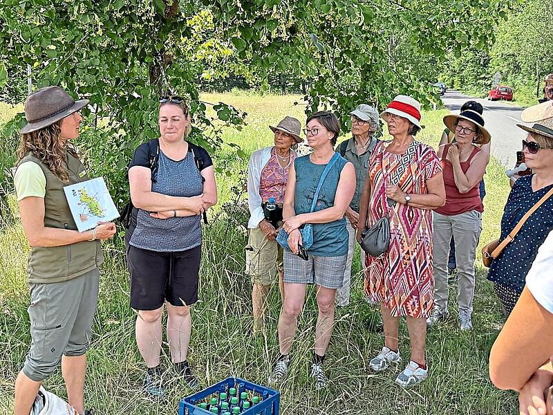 Dass es im einstigen Grenzgebiet der DDR auch Streuobstbestände gibt, zeigte Rangerin Katja Winter bei der Wanderung in der Nähe des thüringischen Ortes Schlechtsart. Dass es im einstigen Grenzgebiet der DDR auch Streuobstbestände gibt, zeigte Rangerin Katja Winter bei der Wanderung in der Nähe des thüringischen Ortes Schlechtsart.