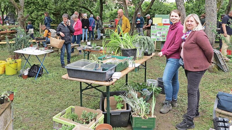 Am Sonntag, 26. April, findet wieder eine Pflanzentauschb&ouml;rse des Gartenbauvereins Euerdorf statt.