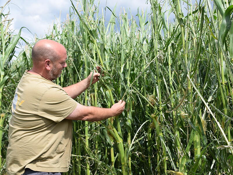 Unwetter Kreis Kronach: Landwirte verlieren Teil der Ernte