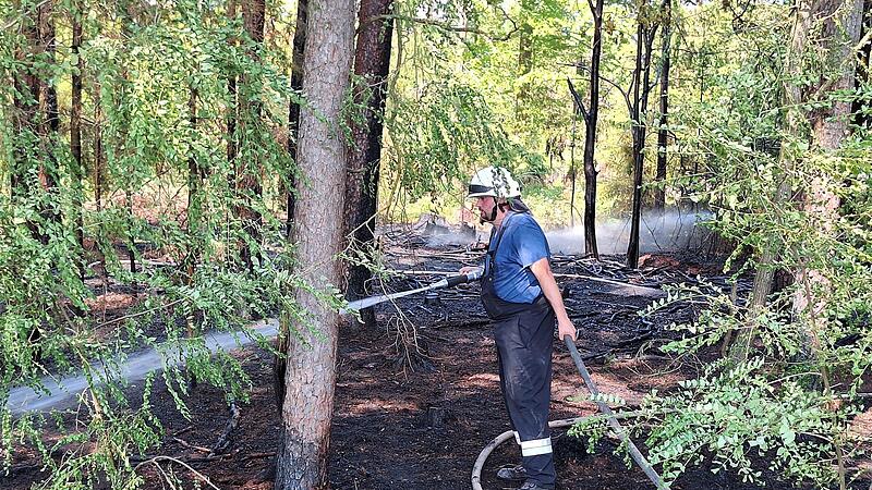 Viele Feuerwehrleute waren damit beschäftigt, ein Ausweiten des Feuers im Wald zu verhindern.
