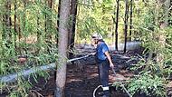 Viele Feuerwehrleute waren damit beschäftigt, ein Ausweiten des Feuers im Wald zu verhindern.