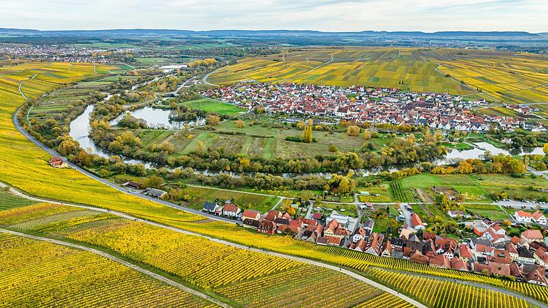 Die Luftaufnahme zeigt die Mainschleife mit Escherndorf (vorne), Nordheim am Main (Mitte) und Volkach (links) vom Terroir-f- Standort Volkach aus. Gr&uuml;nen-Politiker Paul Knoblach sieht durch Kostendruck und Absatzschw&auml;che tausend Hektar Rebfl&auml;che in Unterfranken in Gefahr.