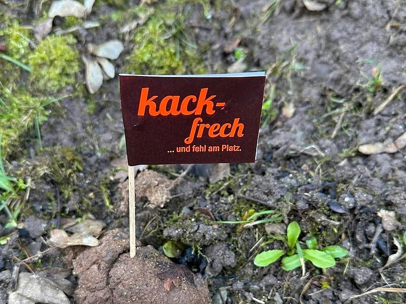 Kurioses Fundst&uuml;ck in Coburg