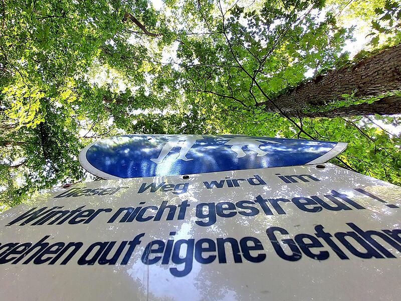 Die Stadtförsterei hat zu einer Exkursion in den Forchheimer Stadtwald eingeladen.Forchheim & Fränkische Schweiz