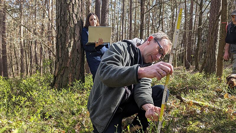 Waldgutachten Waldgutachten