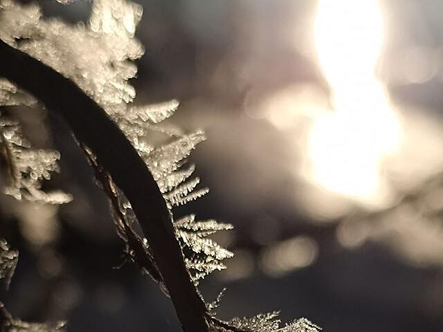 Leserfotos: So sch&ouml;n ist der Frankenwald im SchneeLeserfotos Schnee Januar 2026
