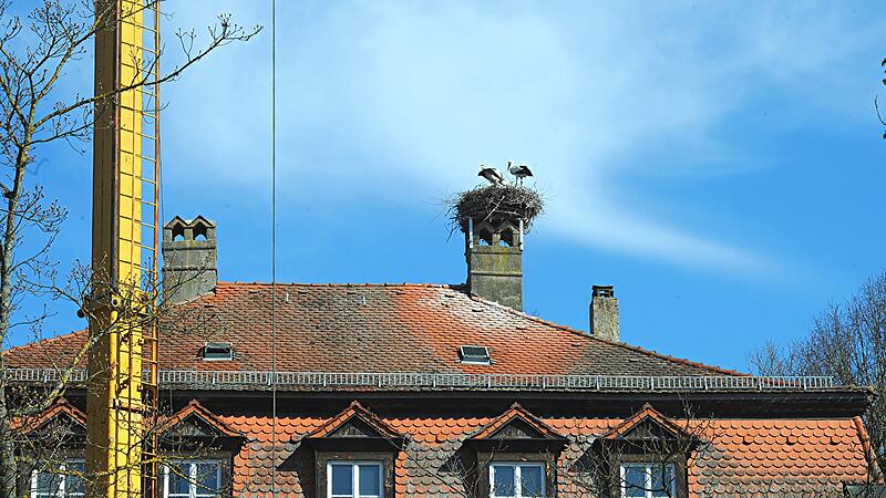 Seit Jahren zieht es die Störche mit den ersten Sonnenstrahlen zurück in ihre Sommerresidenz nach Stegaurach - hoch oben auf den alten Schornstein der ehemaligen Krug-Brauerei. Dieses Mal kehren sie allerdings auf eine Baustelle zurück teilen sie sich ihr Territorium in luftiger Höhe mit einem 12 Meter hohen Kran.