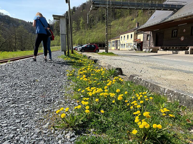 Am Samstag ist in Behringersmühle nicht viel los: Die Dampfbahn-Saison hat noch nicht begonnenEin bisschen Sommer im April - und die Massen stürmen die Fränkische Schweiz Am Samstag ist in Behringersmühle nicht viel los: Die Dampfbahn-Saison hat noch nicht begonnen