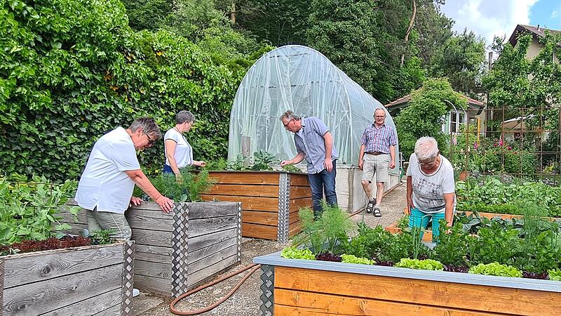 Der Gem&uuml;segarten der Familie Knoll begeistert alle Besucher.Forchheim & Fr&auml;nkische Schweiz