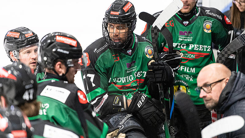 Im Powerbreak fahren die Spieler der Höchstadt Alligators an die Bande zu Trainer Morgan Persson.