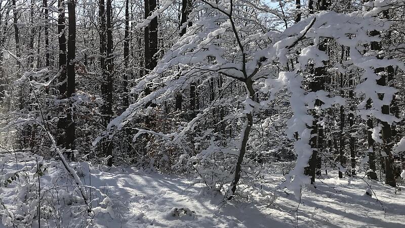 Schnee liegt in der Hochwinterzeit am Feuerstein bei Ebermannstadt.Forchheim & Fr&auml;nkische Schweiz
