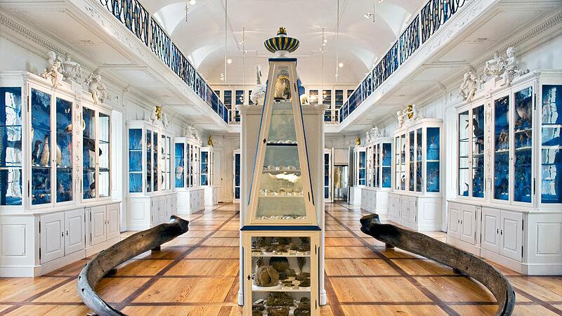 Der Vogelsaal im Naturkundemuseum Bamberg wurde um das Jahr 1810 errichtet und gilt als einer der sch&ouml;nsten und &auml;ltesten Naturkundes&auml;le weltweit.