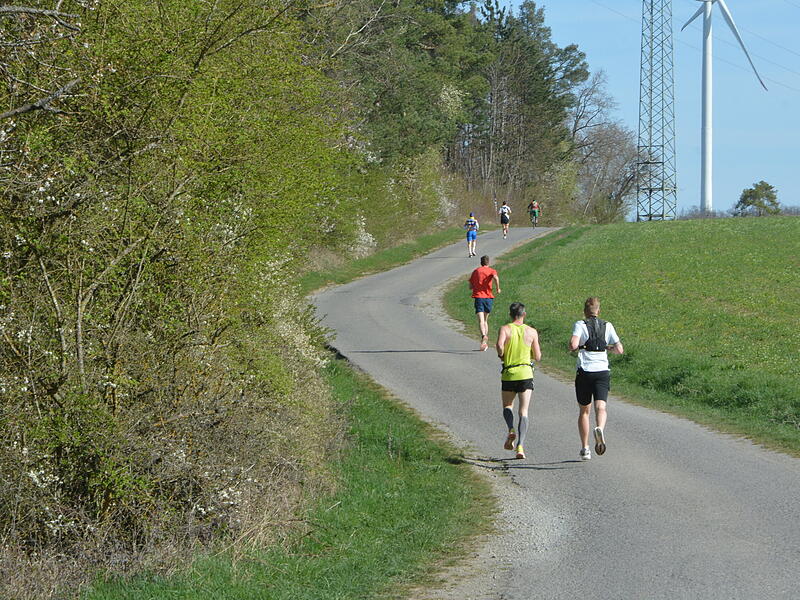 Bilderstrecke vom Saaletal-Marathon in RamsthalSaaletal-Marathon in Ramsthal