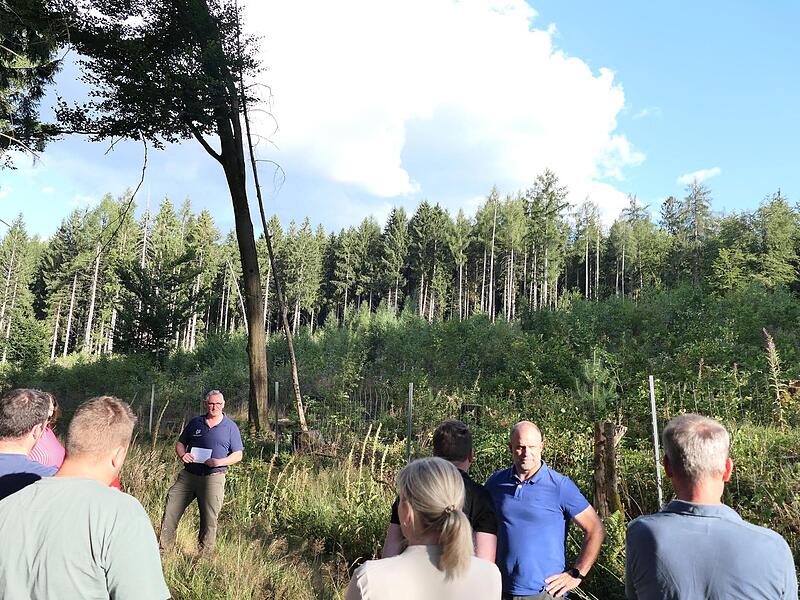Im „Schäfereifeld“ zeigte Revierleiter Markus Söder von der FBG dem Gemeinderat, wie gut sich dort bislang die Waldumwandlung gemacht hat. Statt der Monokultur Fichte entsteht dort nun ein Mischwald. Stephanie Elm Im „Schäfereifeld“ zeigte Revierleiter Markus Söder von der FBG dem Gemeinderat, wie gut sich dort bislang die Waldumwandlung gemacht hat. Statt der Monokultur Fichte entsteht dort nun ein Mischwald. Stephanie Elm