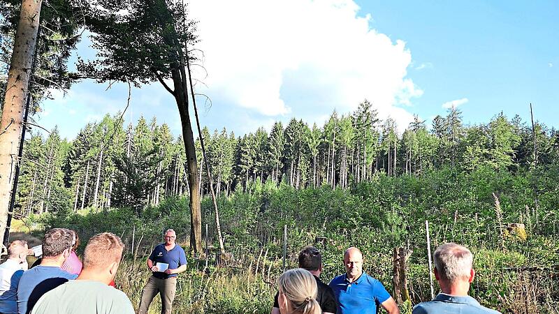 Im „Schäfereifeld“ zeigte Revierleiter Markus Söder von der FBG dem Gemeinderat, wie gut sich dort bislang die Waldumwandlung gemacht hat. Statt der Monokultur Fichte entsteht dort nun ein Mischwald. Stephanie Elm Im „Schäfereifeld“ zeigte Revierleiter Markus Söder von der FBG dem Gemeinderat, wie gut sich dort bislang die Waldumwandlung gemacht hat. Statt der Monokultur Fichte entsteht dort nun ein Mischwald. Stephanie Elm